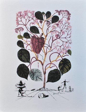 Salvador Dali (1904-1989) - Flordali (le Bégonia)