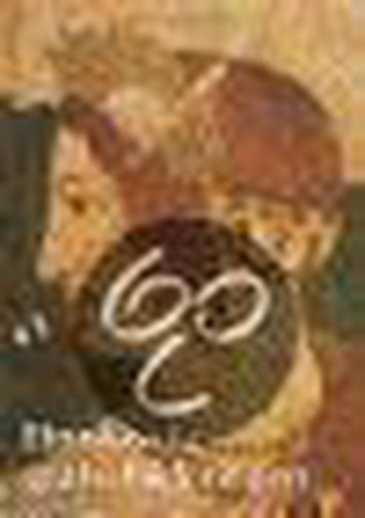 Etruskische grafschilderingen / Atrium cultuurgidsen, Boeken, Geschiedenis | Wereld, Gelezen, Verzenden