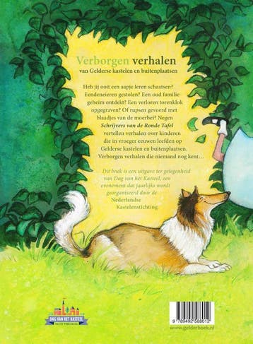 Verborgen verhalen 9789492588012 Ton van Reen, Verzenden, Zo goed als nieuw, Ton van Reen