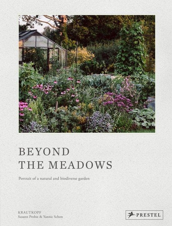 9783791389837 Beyond the Meadows Susann Probst, Boeken, Studieboeken en Cursussen, Nieuw, Verzenden