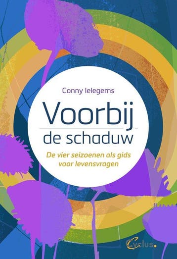 9789085750949 Voorbij de schaduw Conny Ielegems, Verzenden, Nieuw, Conny Ielegems