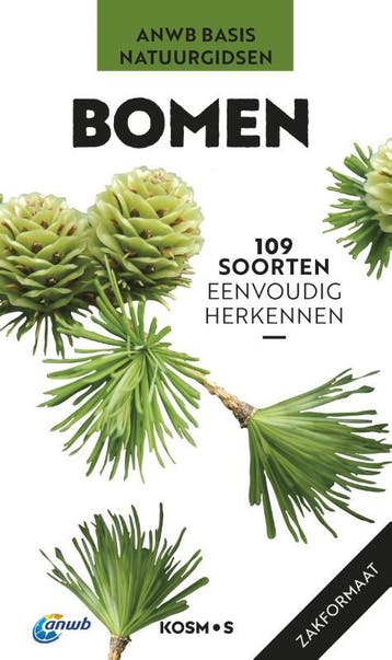 Bomen | Katrin Hecker | Nieuw, Boeken, Ophalen of Verzenden, Nieuw, Katrin Hecker