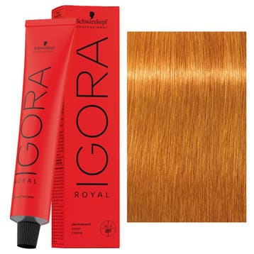 Schwarzkopf – Igora Royal Haarverf 60 ml Permanente, Verzenden, Nieuw