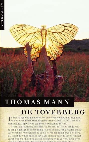 De Toverberg / AP-domein - Thomas Mann 9789029571852, Boeken, Verzenden, Zo goed als nieuw, Thomas Mann