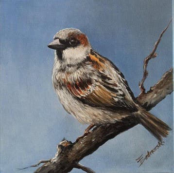 Tomasz Bednarski (1965) - Sparrow