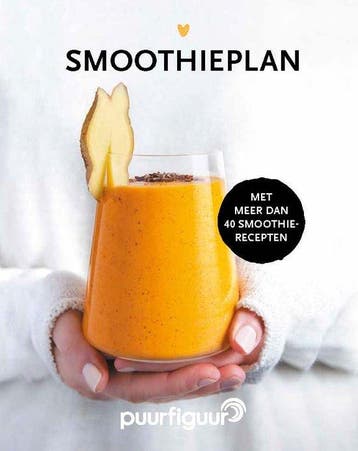 Het Smoothieplan - Ilse de Groot 9789090346953, Verzenden, Zo goed als nieuw, Ilse de Groot