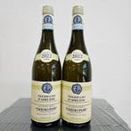 2022 Emidio Pepe - Trebbiano dAbruzzo - Abruzzo - 2 Flessen, Nieuw