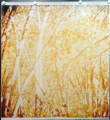 Stefanie Schneider - Indian Summer II (Stranger than