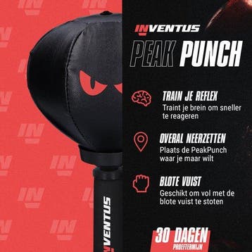 2dekans | Inventus Boksbal PeakPunch - Met Zuignap - Mini, Ophalen of Verzenden, Zo goed als nieuw