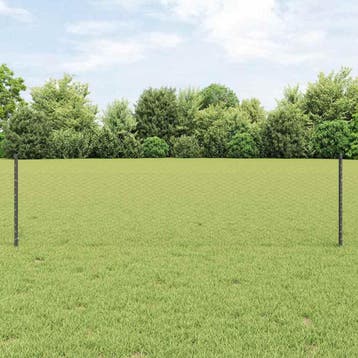 vidaXL zeshoekig gaasgek met palen 100 x 0,5 m PVC-Coated, Verzenden, Nieuw, IJzer