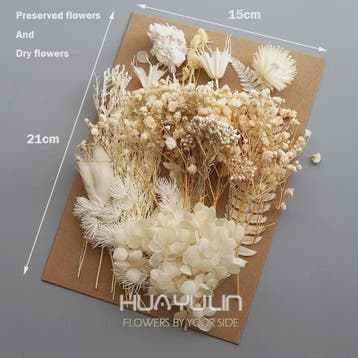Set Gedroogde Bloemen & Hydrangea voor Ambacht & Decoratie, Verzenden, Nieuw