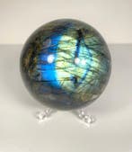 Harmony Aura Labradorietbol met een doorzichtige standaard