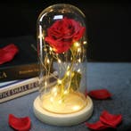 Kunst Roos in Glazen Stolp met Verlichting - Zijden Rozen, Verzenden, Nieuw