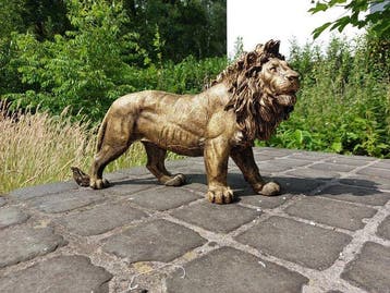 Beeld, Beeld, 60 cm long statue of golden bronze lion - 32, Antiek en Kunst