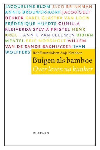 Buigen als bamboe - Rob Bruntink 9789058072610, Boeken, Verzenden, Gelezen, Rob Bruntink