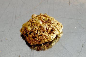 Goud Or Natif, gouden knol, porieus goud 0,846 gram- 0.85 g
