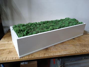 Mos in plantenbak, wit staal, B x D x H 120 x 43 x 23 cm, Ophalen, Nieuw
