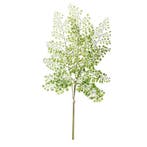 Kunstplant takken venushaar tak van 58 cm groen - Overige .., Ophalen of Verzenden