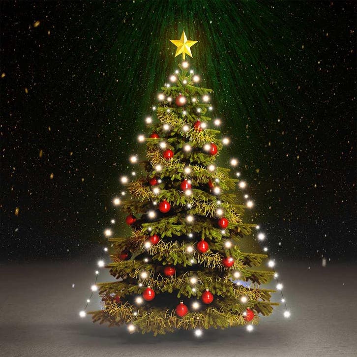 vidaXL Kerstboomverlichting met 150 LEDs koudwit net 150 cm, Tuin en Terras, Buitenverlichting, Nieuw, Kunststof, Verzenden