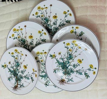 Villeroy & Boch - Bord (6) - Botanica - Porselein - Speciale