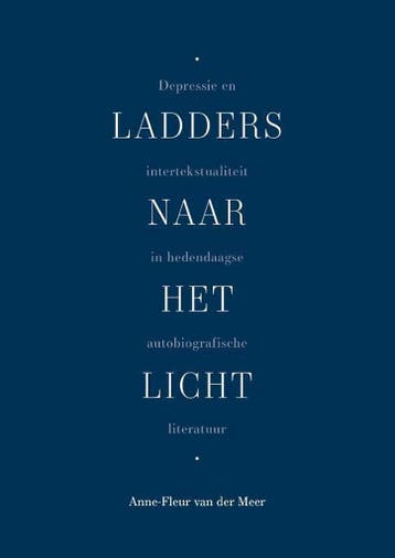 Ladders naar het licht 9789463012126 Anne-Fleur van der Meer, Verzenden, Zo goed als nieuw, Anne-Fleur van der Meer