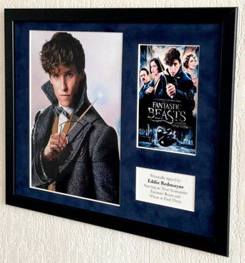 Fantastic Beasts - Eddie Redmayne (Newt Scamander) Premium, Nieuw