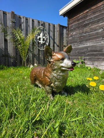 Beeld, Handcrafted Bronze Corgi Dog - 38 cm - Brons - 2026