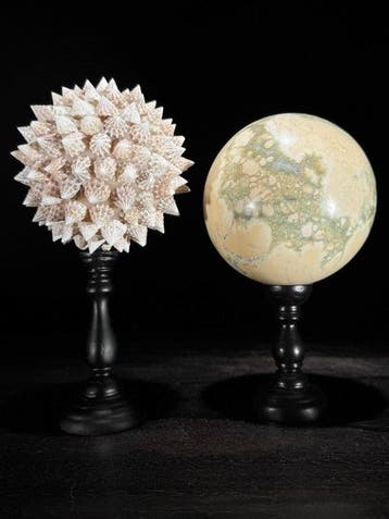 Decoratief ornament - NO RESERVE PRICE - Wonderful Pair of