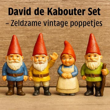 David de Kabouter poppetjes, Ophalen of Verzenden, Gebruikt