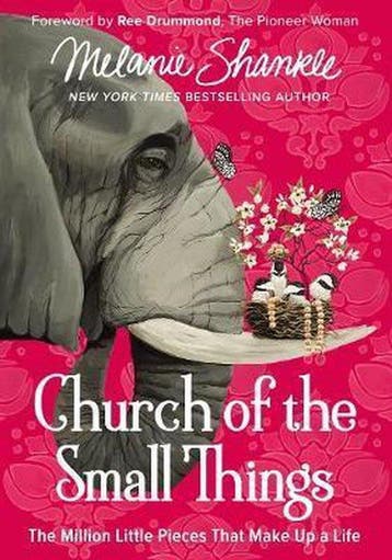 Church of the Small Things - Melanie Shankle 9780310348870, Verzenden, Zo goed als nieuw, Melanie Shankle