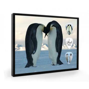 Pinguins plectrumdisplay, Verzamelen, Ophalen of Verzenden, Nieuw, Wild dier, Overige typen