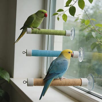 Zuignap Vogel Zitstok voor Ramen & Spiegels - Draagbaar Spee