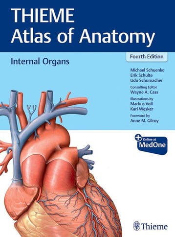 9781684205912 Internal Organs (THIEME Atlas of Anatomy), Verzenden, Nieuw, Michael Schuenke