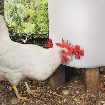 12x Automatische Kippen Drinkbakjes met Nippel - Kippen, Qua, Verzenden, Nieuw