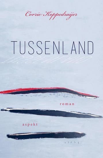 Tussenland - Corrie Koppedraijer 9789463385121, Verzenden, Zo goed als nieuw, Corrie Koppedraijer