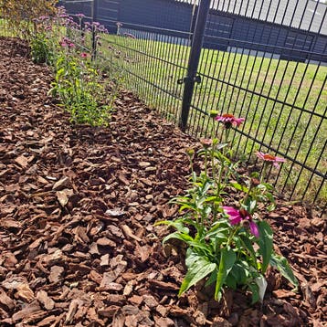 Franse Boomschors 20-40 Premium incl. levering | Big bag 1m³, Tuin en Terras, Ophalen of Verzenden, Boomschors