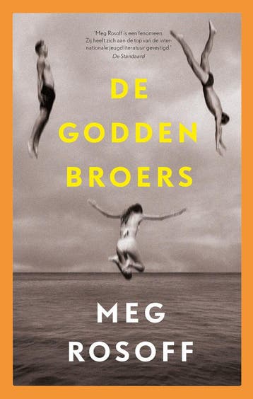 De Godden broers (Goed), Verzenden, Gelezen, Meg Rosoff