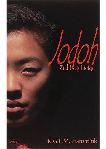 Jodoh Zicht op liefde (NIEUW BOEK) R.G.L.M. Hammink, Verzenden, Gelezen