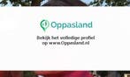 Sanne zoekt een oppas in Haarlem voor 1 kind.