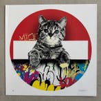 Alessio B (XX-XXI) - Miauw - Cat - red