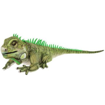 Keel Toys leguaan knuffel - pluche - groen - staand - 65 cm, Verzenden, Nieuw