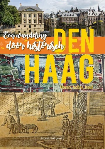 Een Wandeling Door Historisch Den Haag | Gerard Arp | Nieuw, Boeken, Ophalen of Verzenden, Nieuw, Gerard Arp