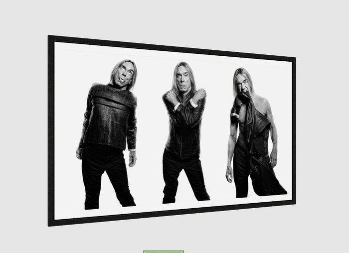 Ben Dauchez - Triptyque Iggy - XL, Antiek en Kunst, Kunst | Designobjecten