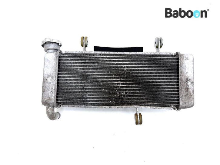 Radiateur Kawasaki Z 125 2018-2020 (Z125 BR125K), Motoren, Onderdelen | Kawasaki, Gebruikt, Verzenden