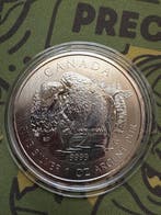 Canada. 5 Dollars 2013 Bison (Zonder minimumprijs)