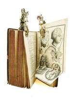 Pierre Noguez - L’anatomie du corps de l’homme en abrégé ou