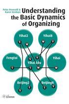 Understanding the basic dynamics of, 9789059726864, Verzenden, Zo goed als nieuw, HBO