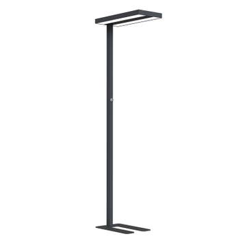 LED vloerlamp zwart Lara Up&amp;Down 80W dimbaar UGR<17, Ophalen of Verzenden, Nieuw