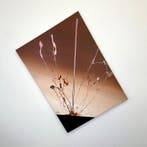 Santicri - Axis, Fracture