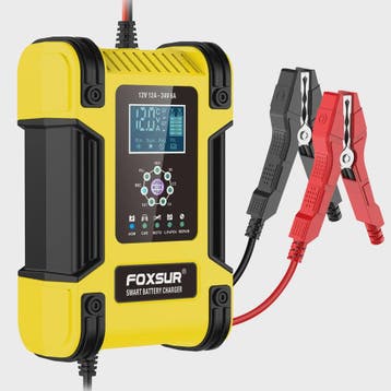 Foxsur Slimme Automatische Acculader 12V/24V met Digitaal Di, Verzenden, Nieuw